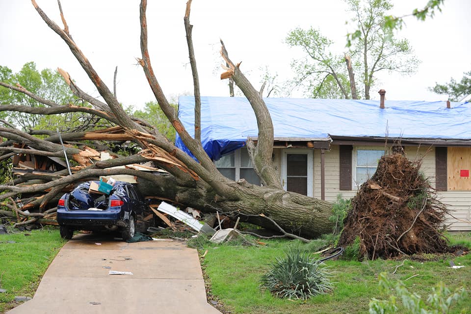 Storm Cleanup